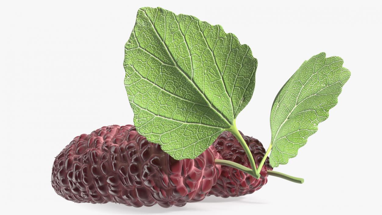 3D Mulberry Fruit Pink with Leaves