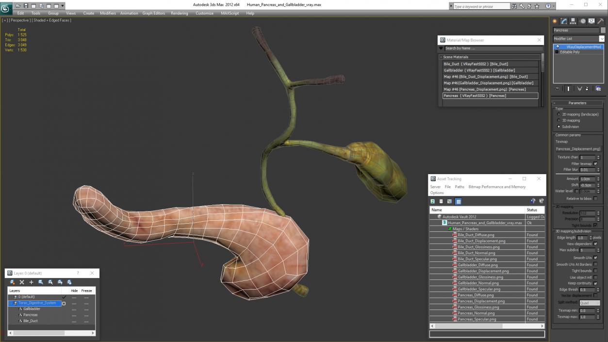 3D model Human Pancreas and Gallbladder