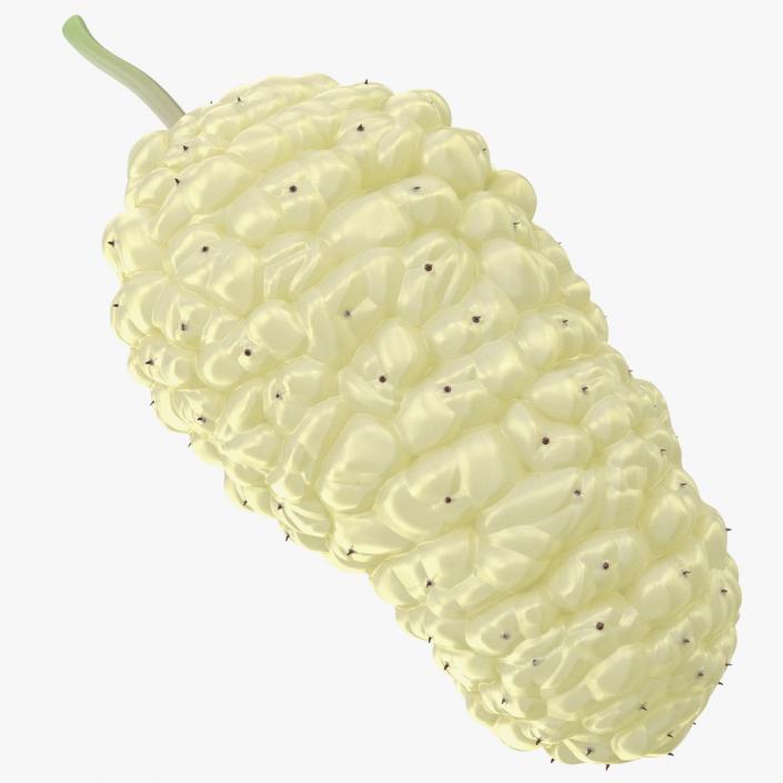 3D model Mulberry Fruit White