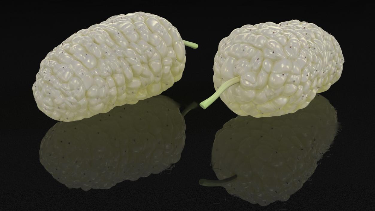 3D model Mulberry Fruit White