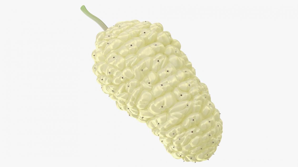 3D model Mulberry Fruit White