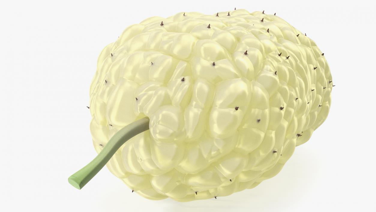 3D model Mulberry Fruit White