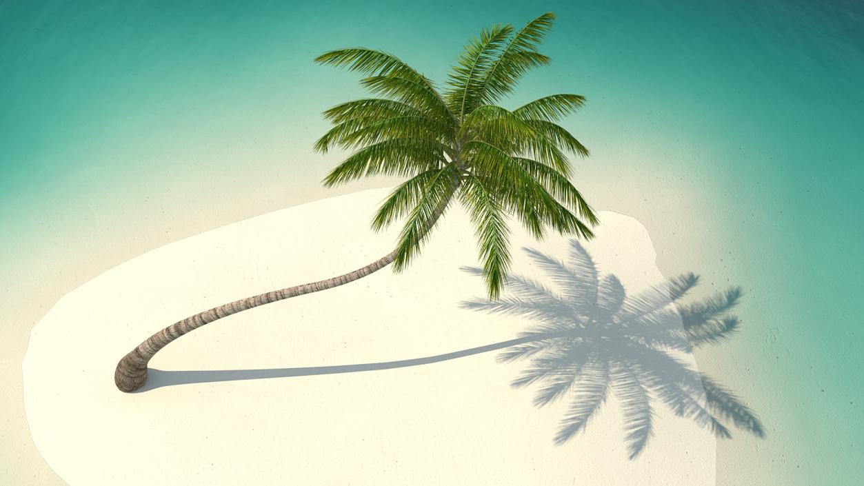 Desert Tropical Island with Palm Tree 3D