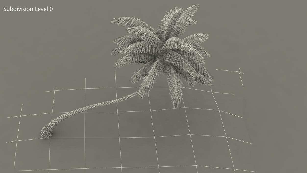 Desert Tropical Island with Palm Tree 3D