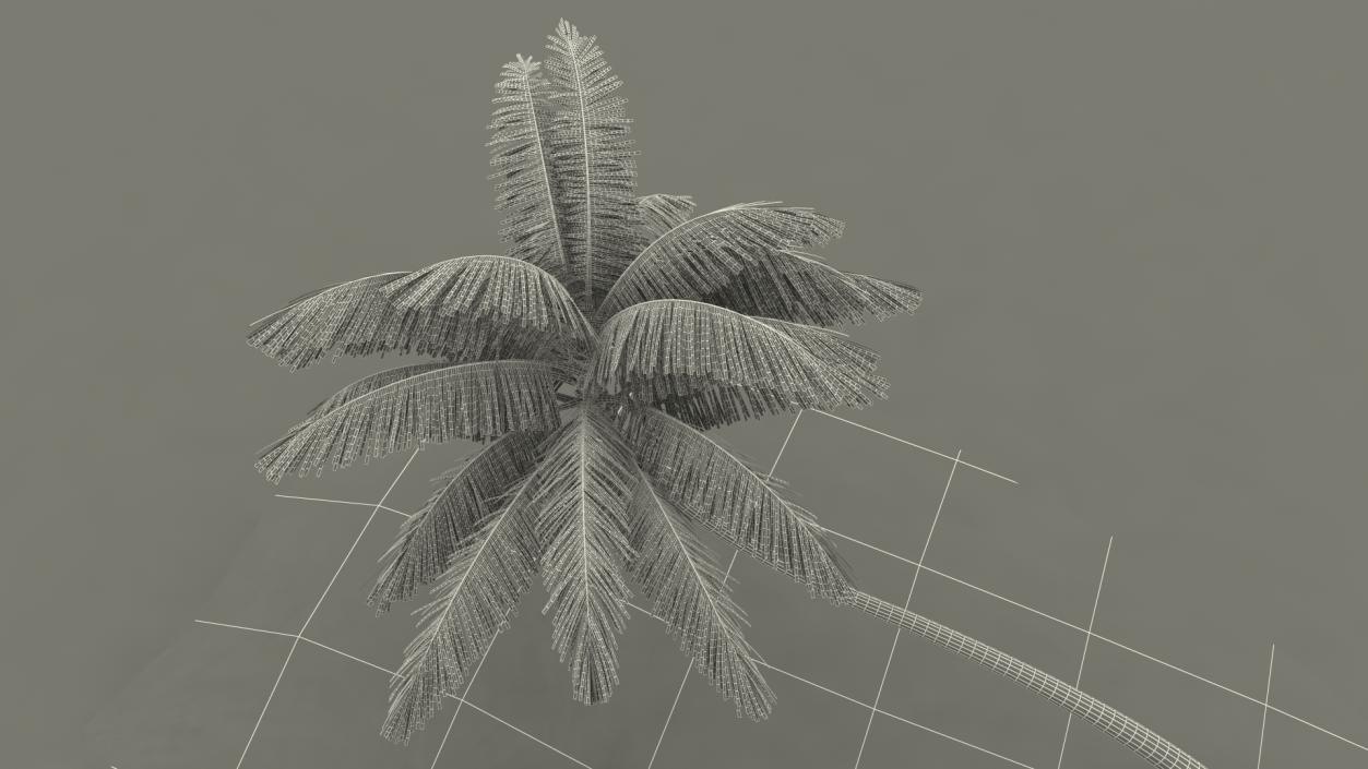 Desert Tropical Island with Palm Tree 3D