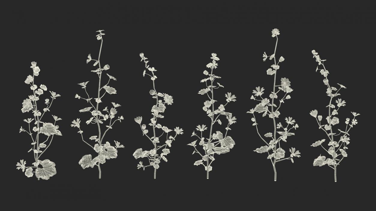 3D model Wild Malva Sylvestris Set