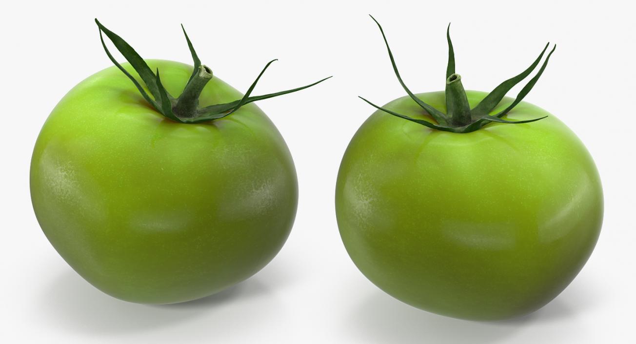 3D Green Tomato Collection model