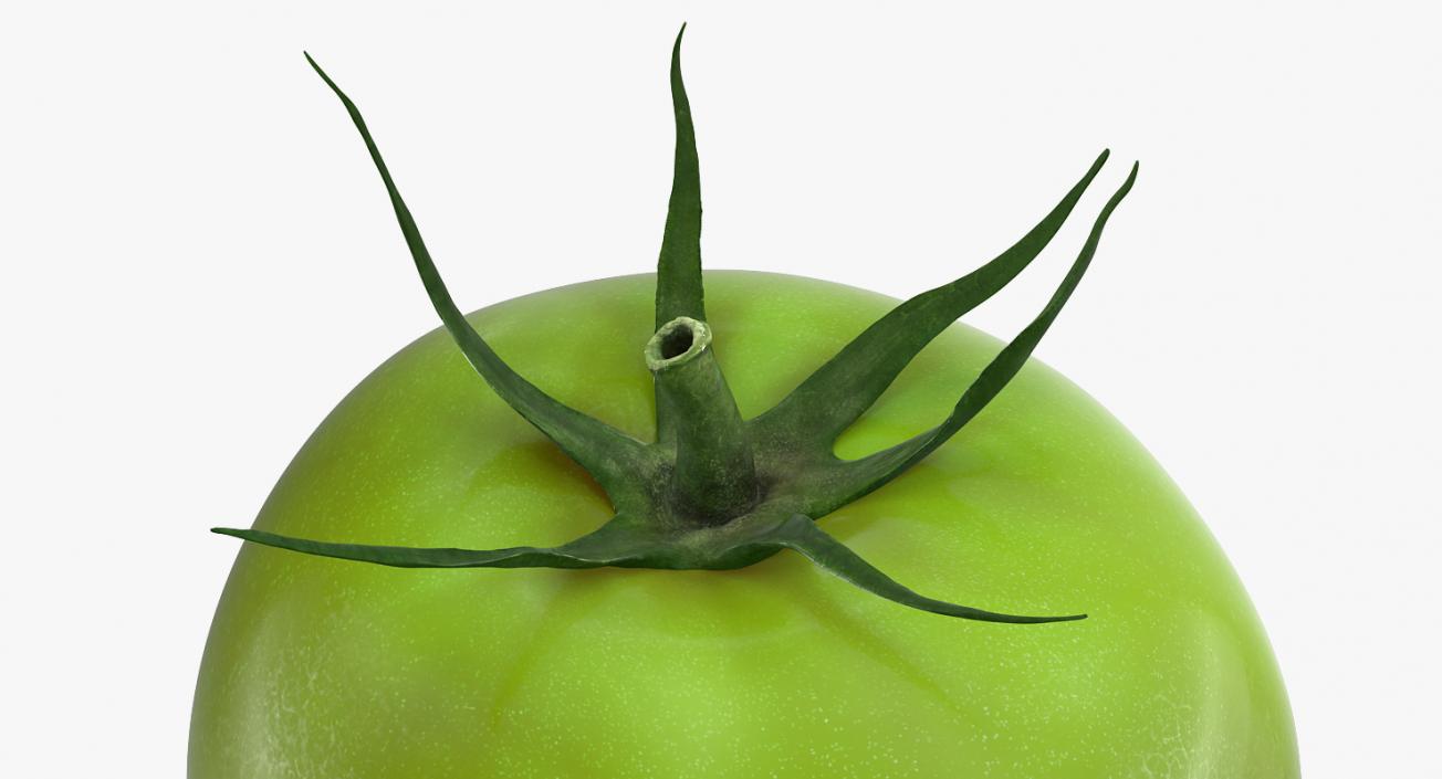 3D Green Tomato Collection model