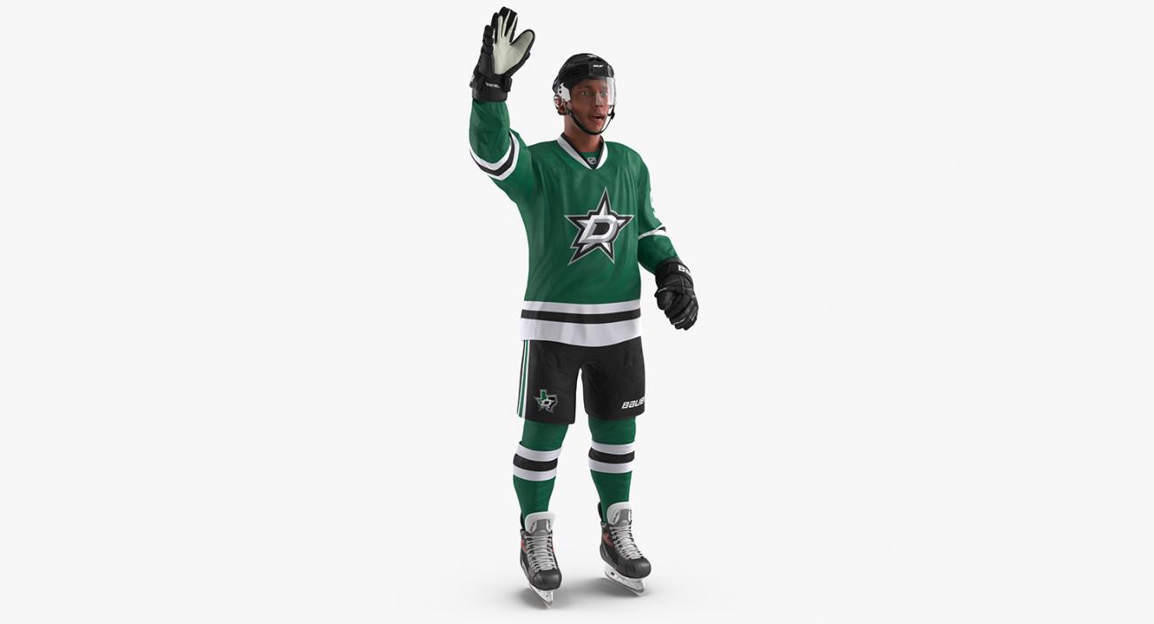 3D Hockey Player Stars Rigged