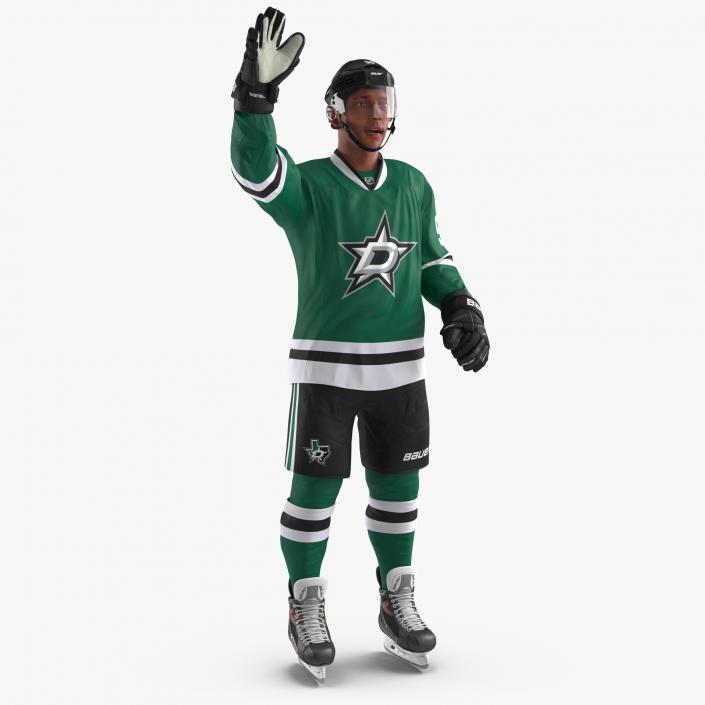 3D Hockey Player Stars Rigged