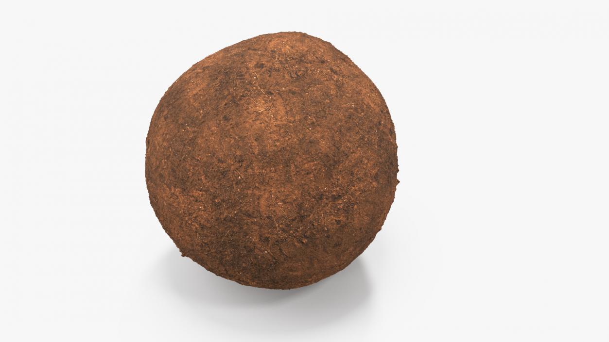 3D Dung Sphere