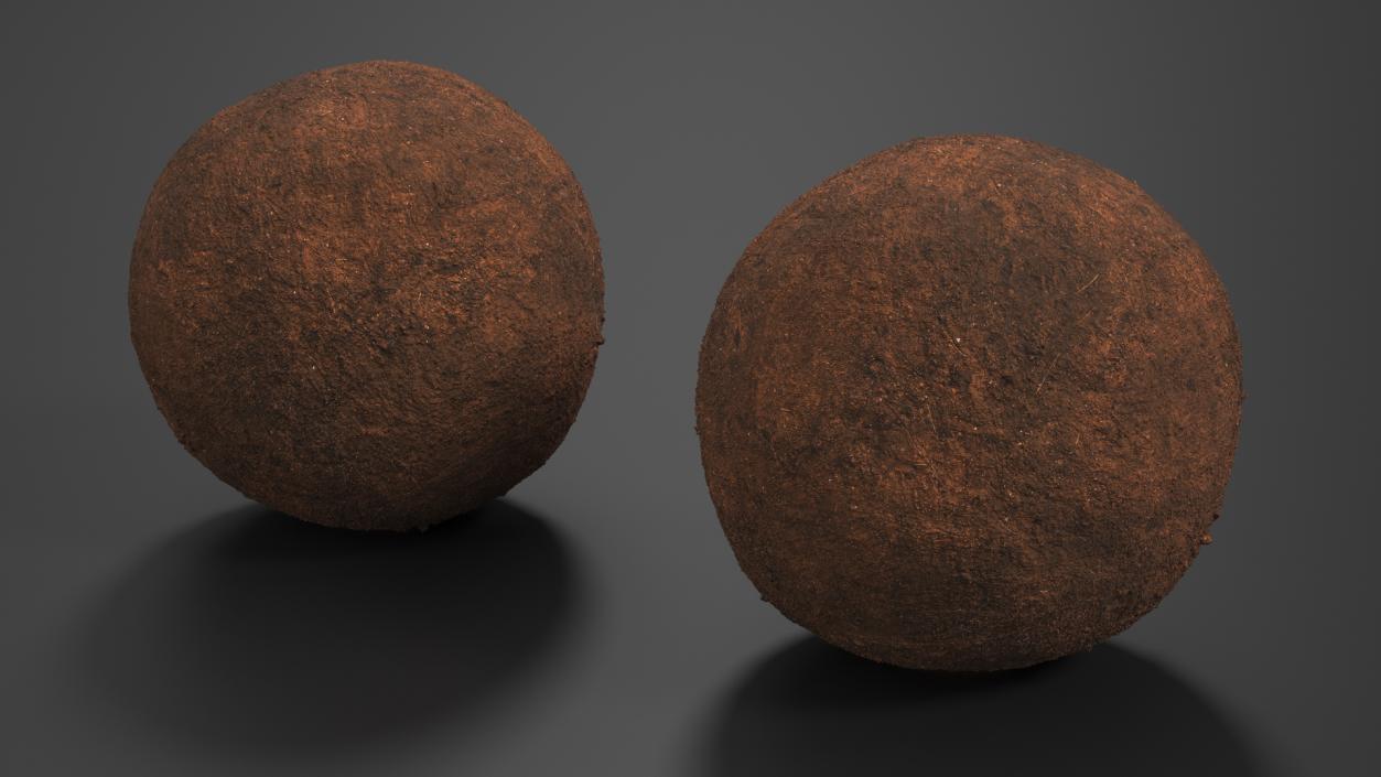 3D Dung Sphere