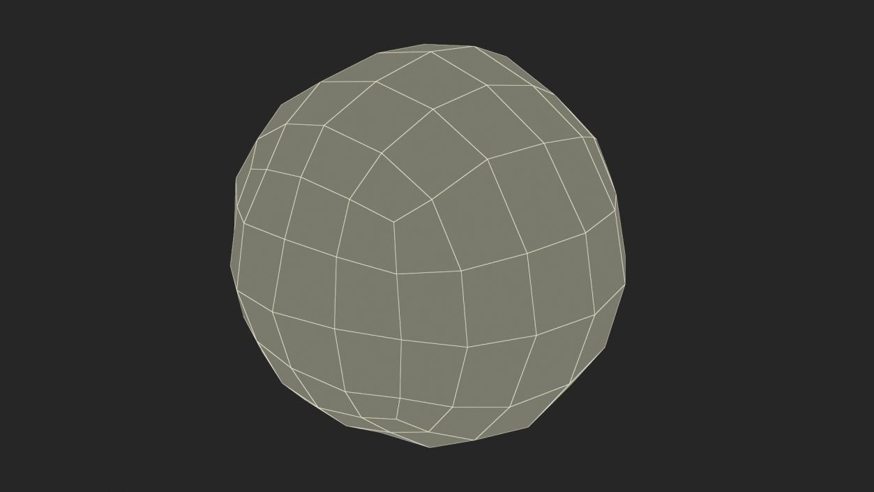 3D Dung Sphere