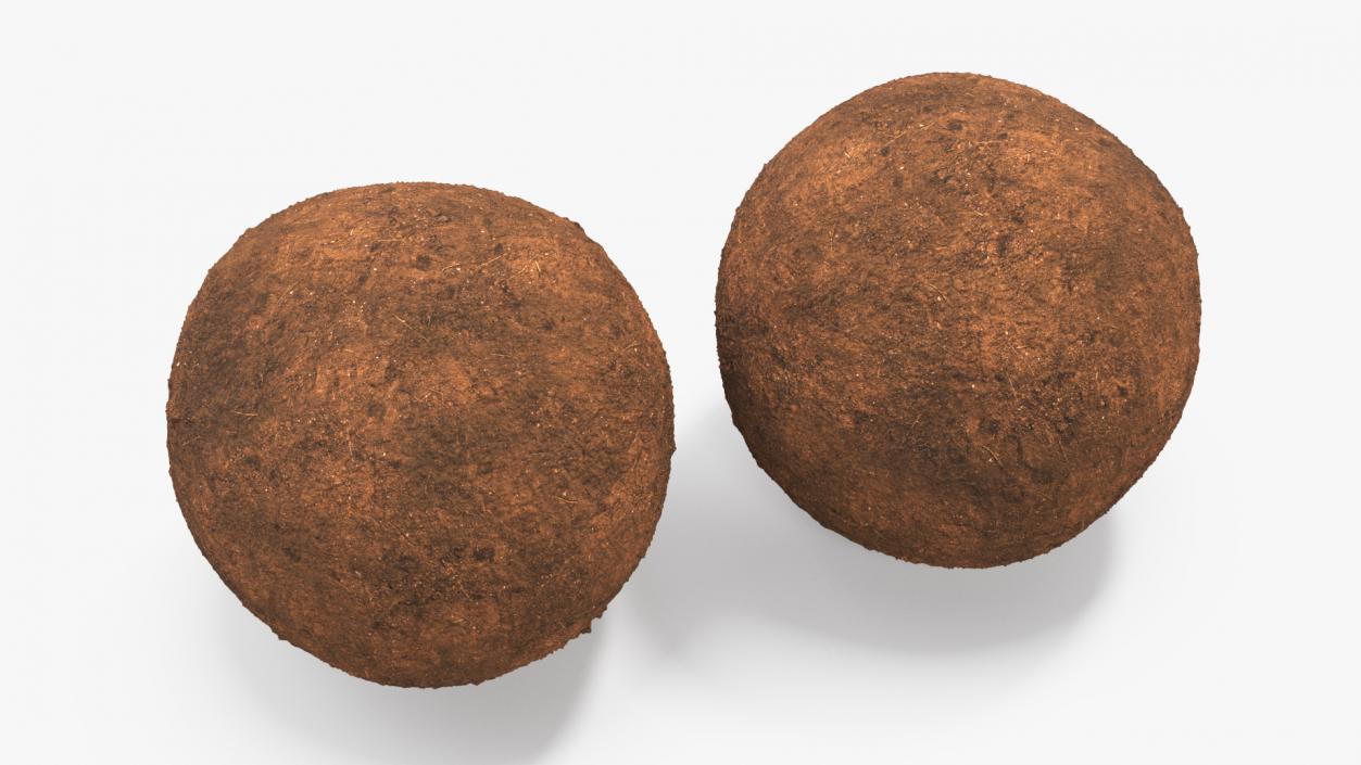 3D Dung Sphere