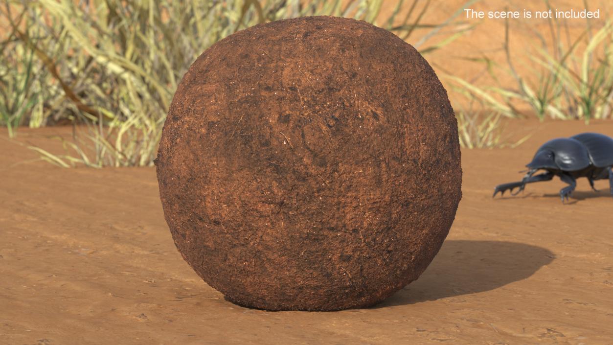 3D Dung Sphere