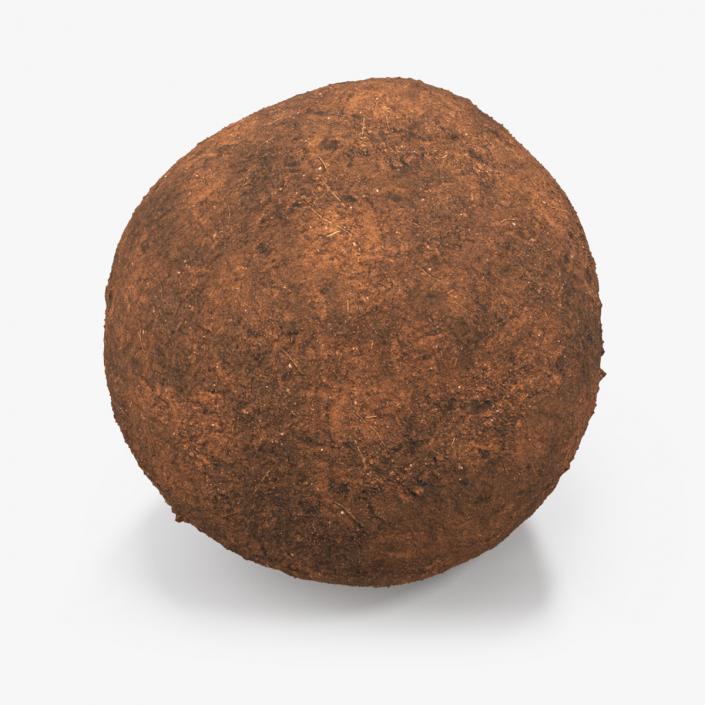 3D Dung Sphere