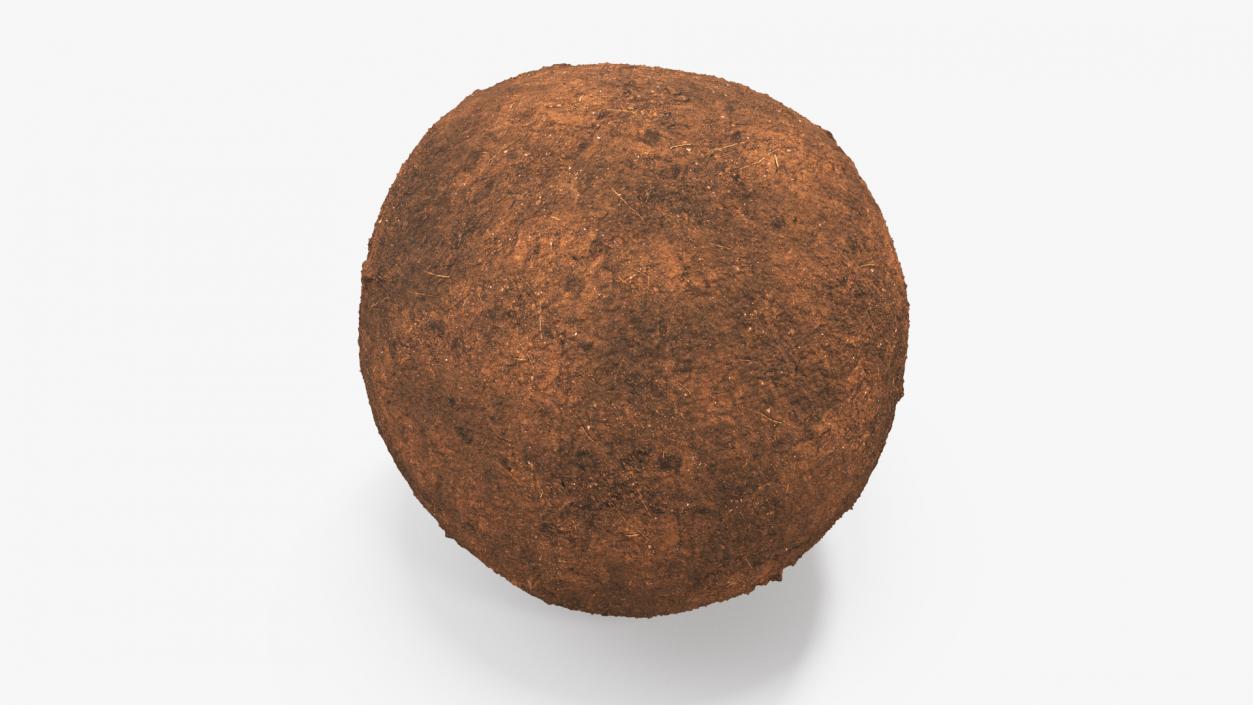 3D Dung Sphere