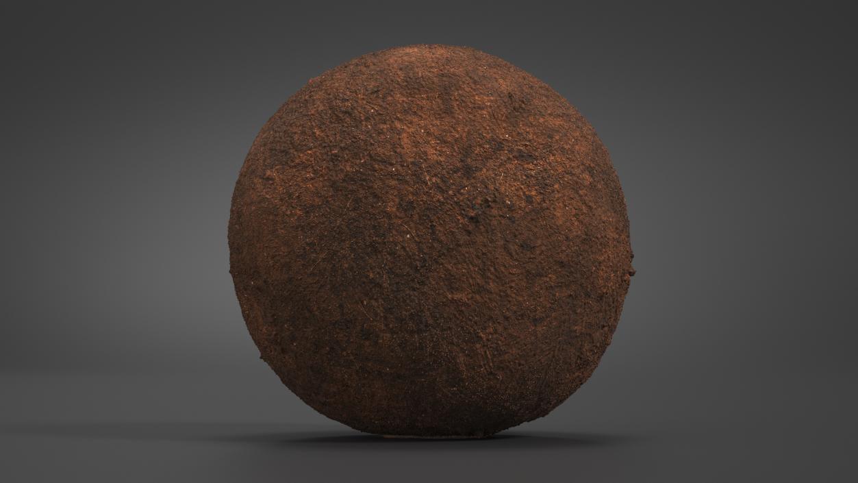 3D Dung Sphere