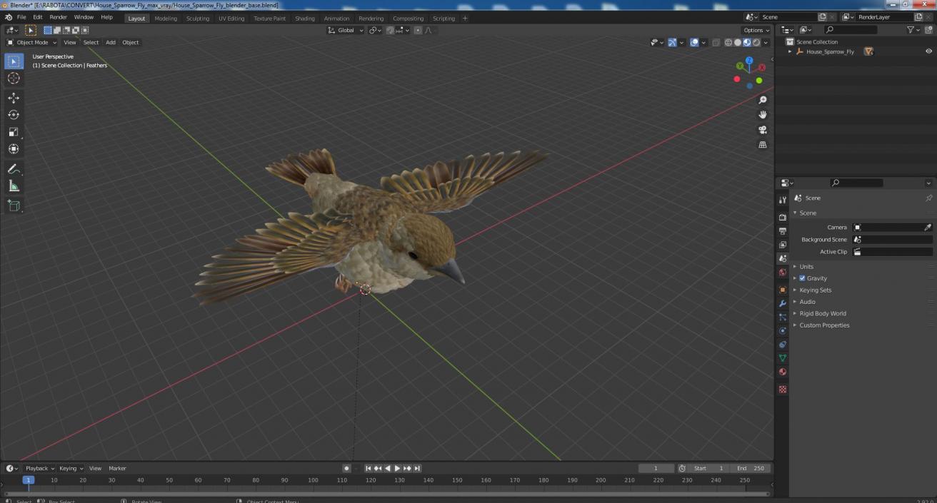 House Sparrow Fly 3D