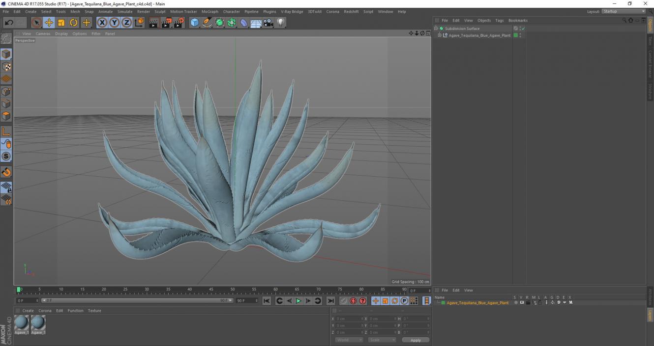 Agave Tequilana Blue Agave Plant 3D