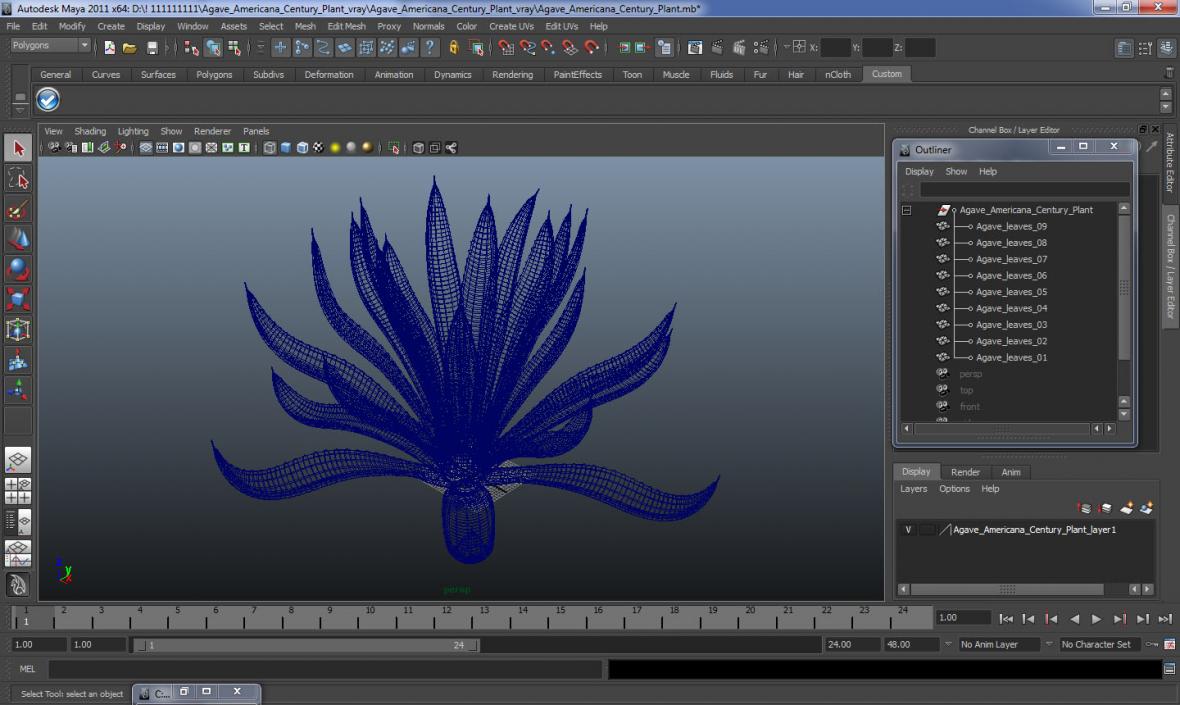 Agave Tequilana Blue Agave Plant 3D