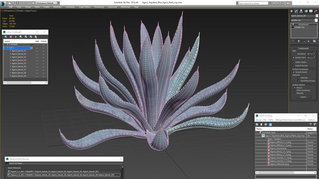 Agave Tequilana Blue Agave Plant 3D