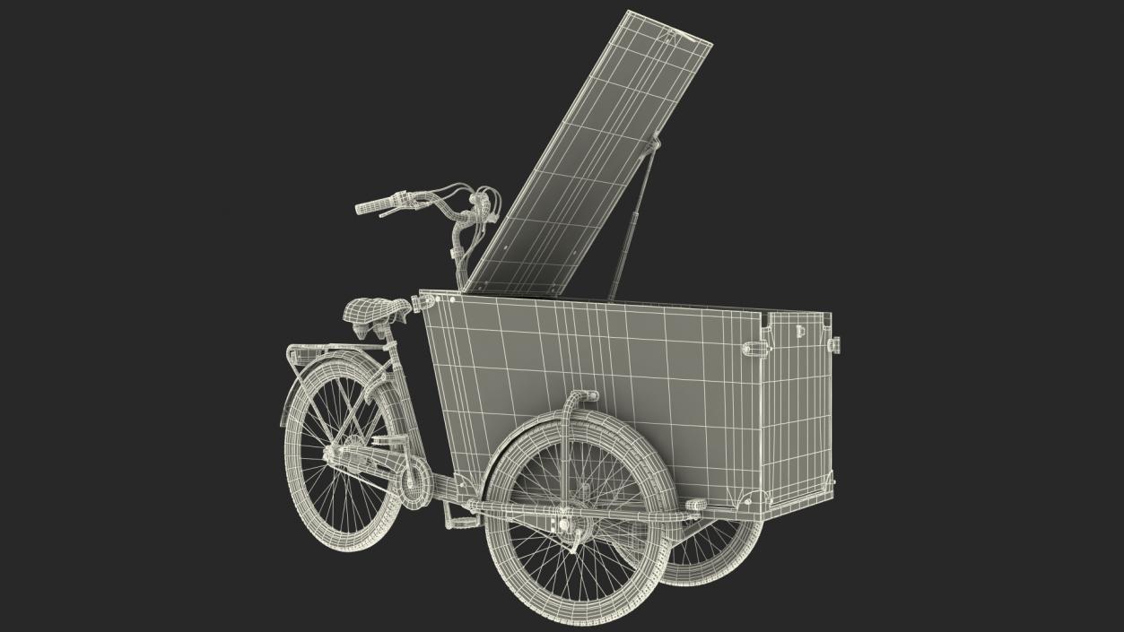 Cargo Bike Rigged 3D