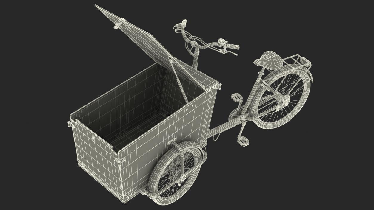 Cargo Bike Rigged 3D