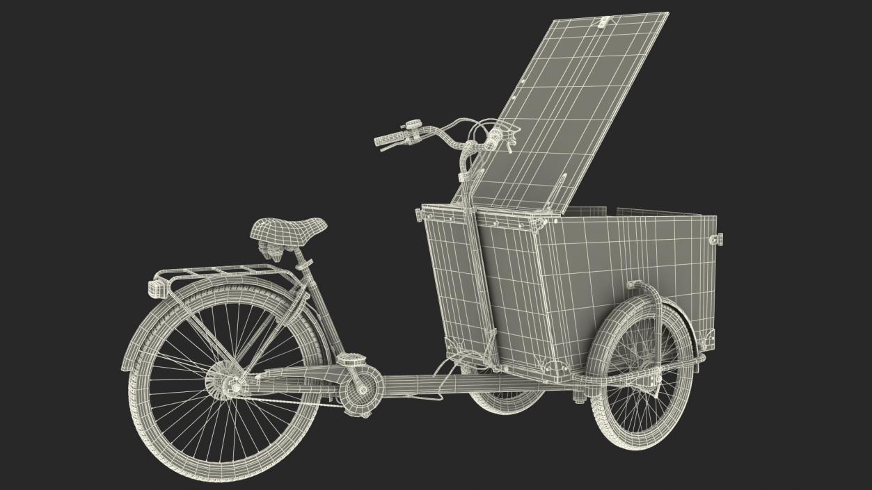 Cargo Bike Rigged 3D