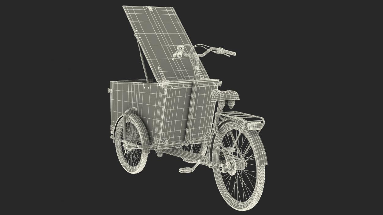 Cargo Bike Rigged 3D