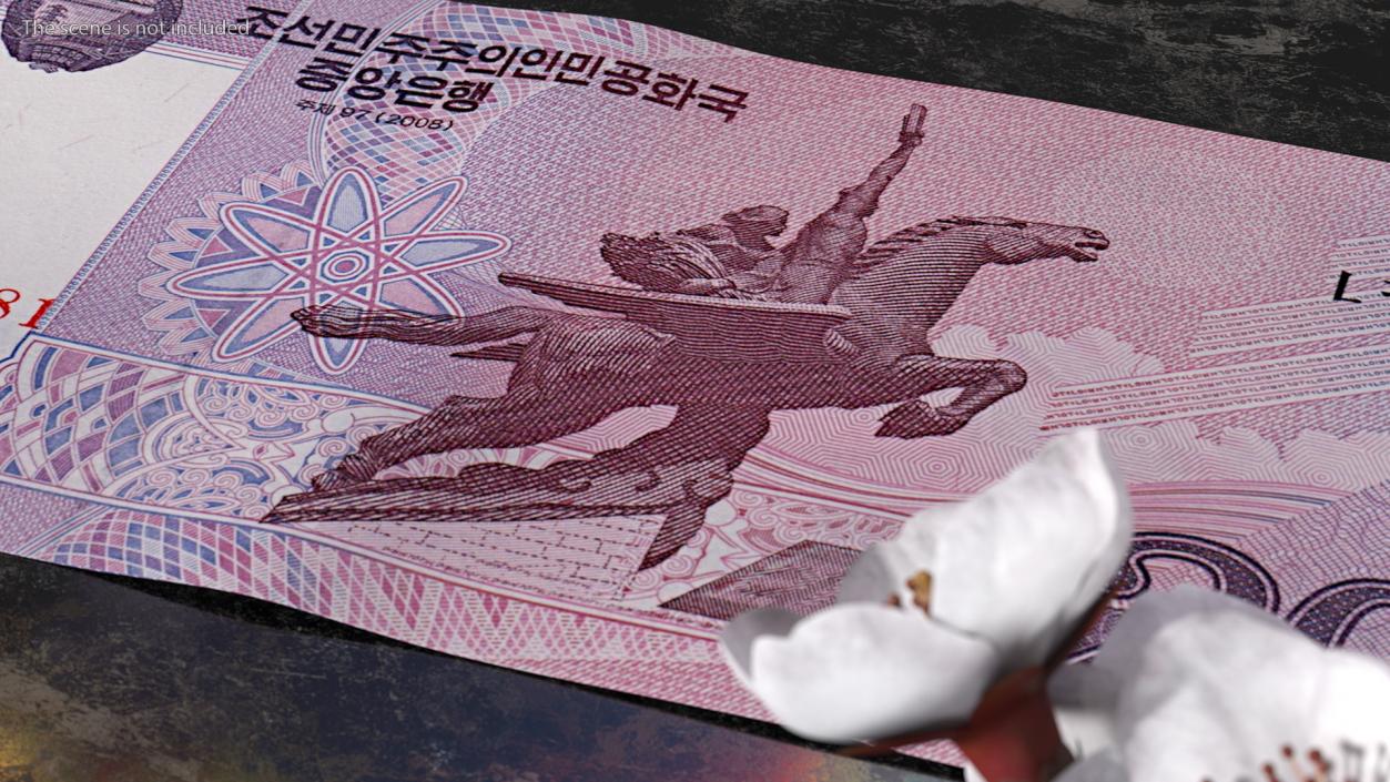 North Korea 200 Won Banknotes Pack 3D model