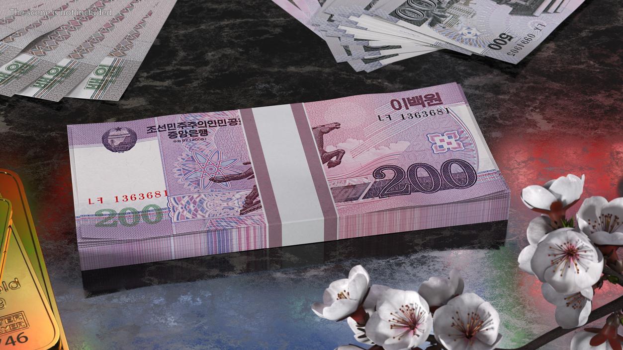 North Korea 200 Won Banknotes Pack 3D model