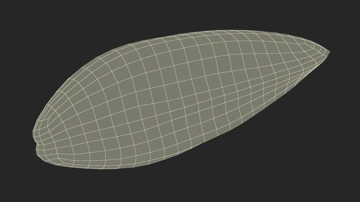 Green Lipped Mussel 3D model