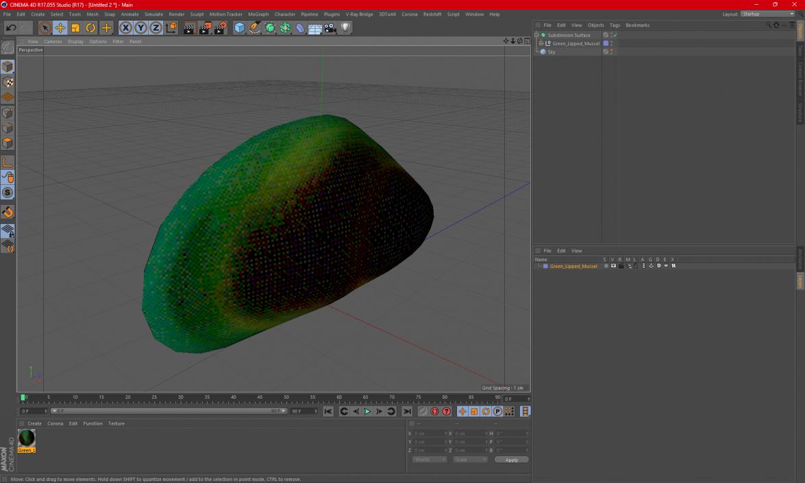 Green Lipped Mussel 3D model