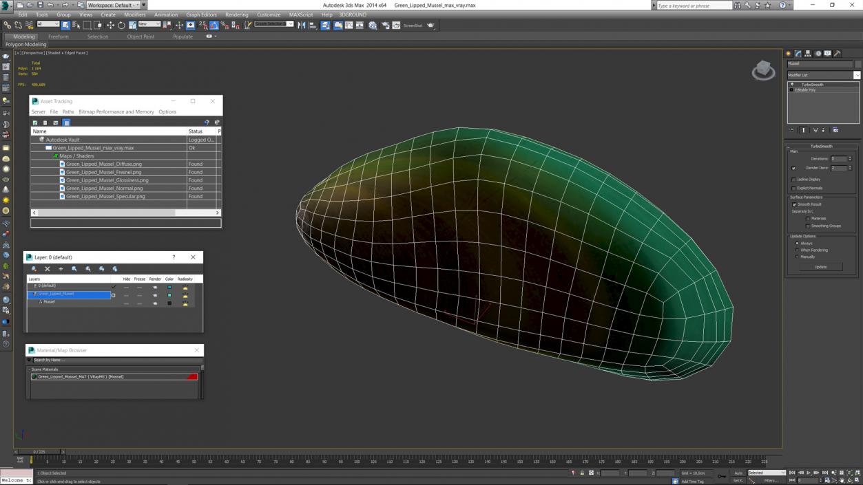 Green Lipped Mussel 3D model