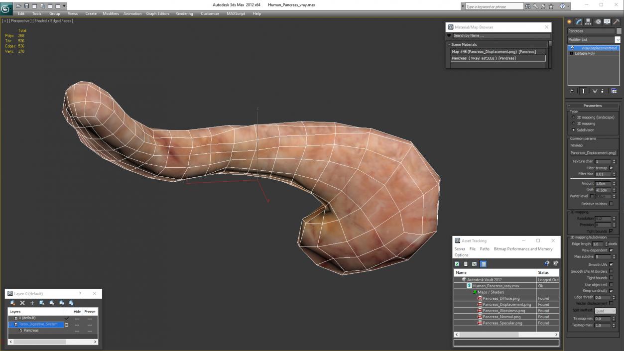 Human Pancreas 3D model