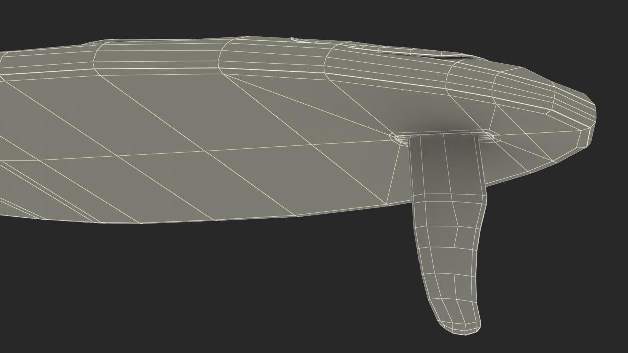 Windsurf Board 3D model