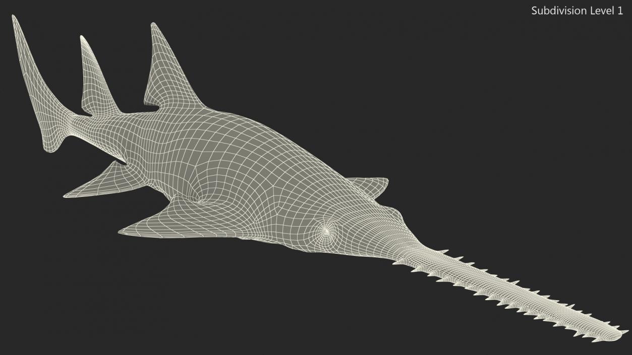 Sawfish 3D model