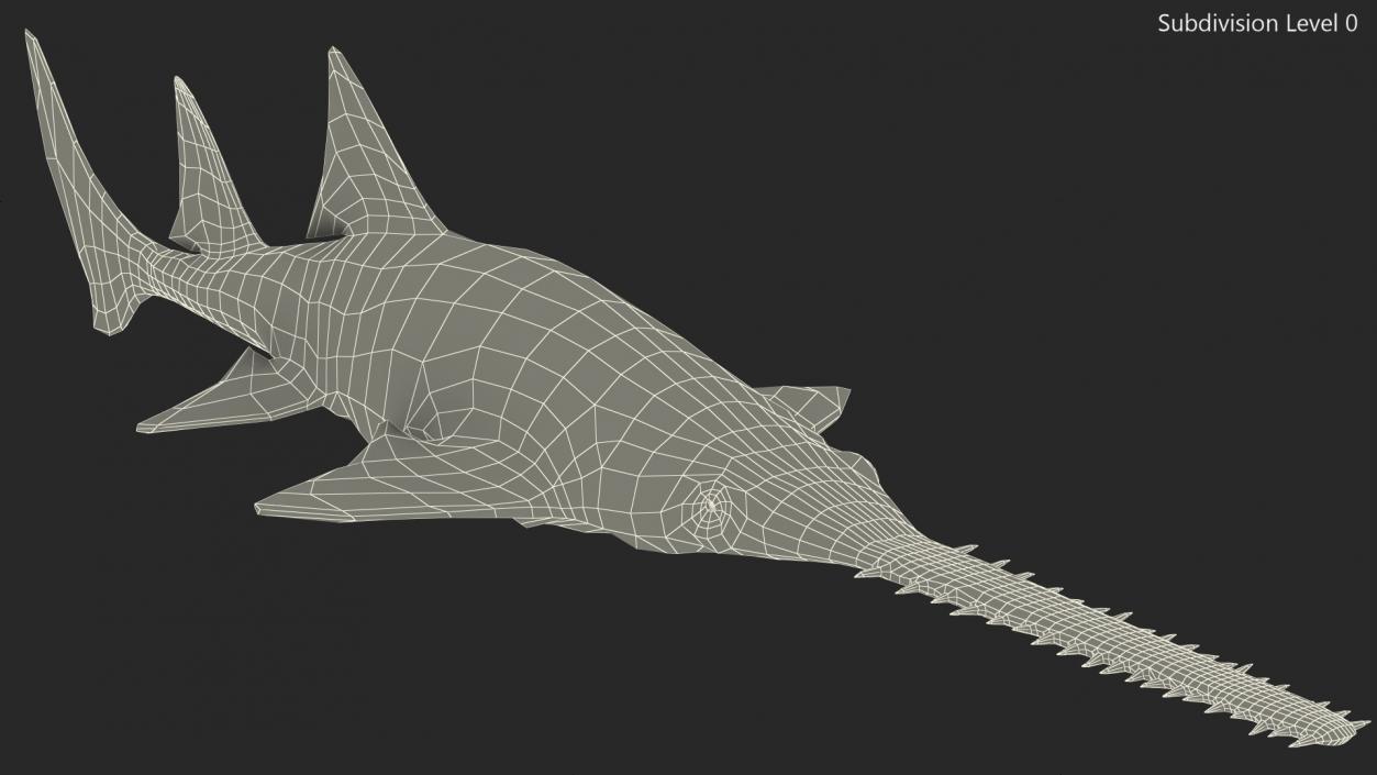 Sawfish 3D model