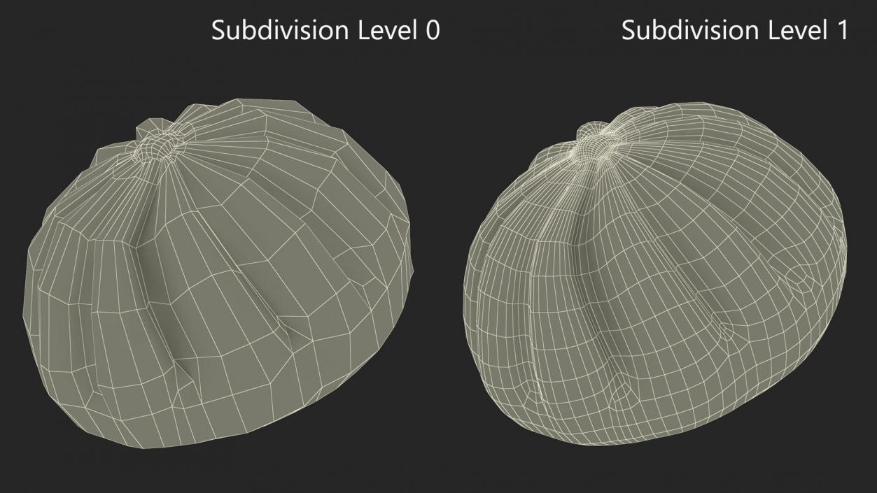 3D Asian Dumpling Cooked for 3D Print 2