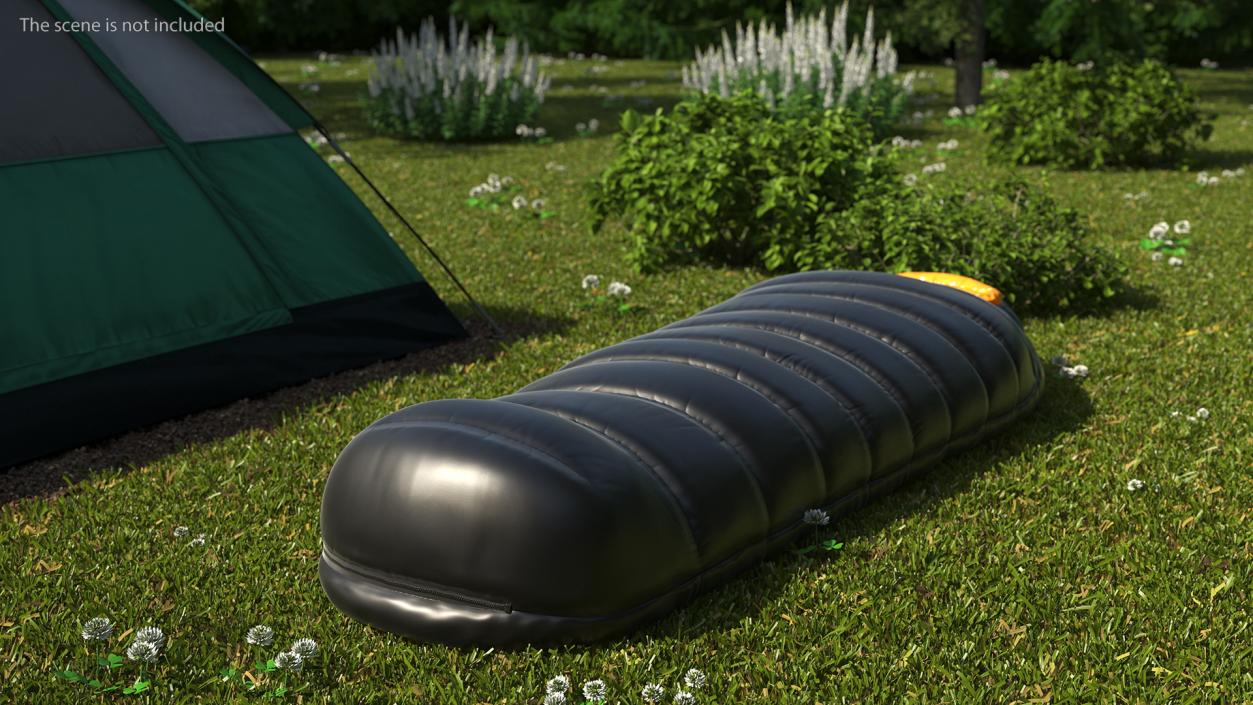 Down Sleeping Bag 3D