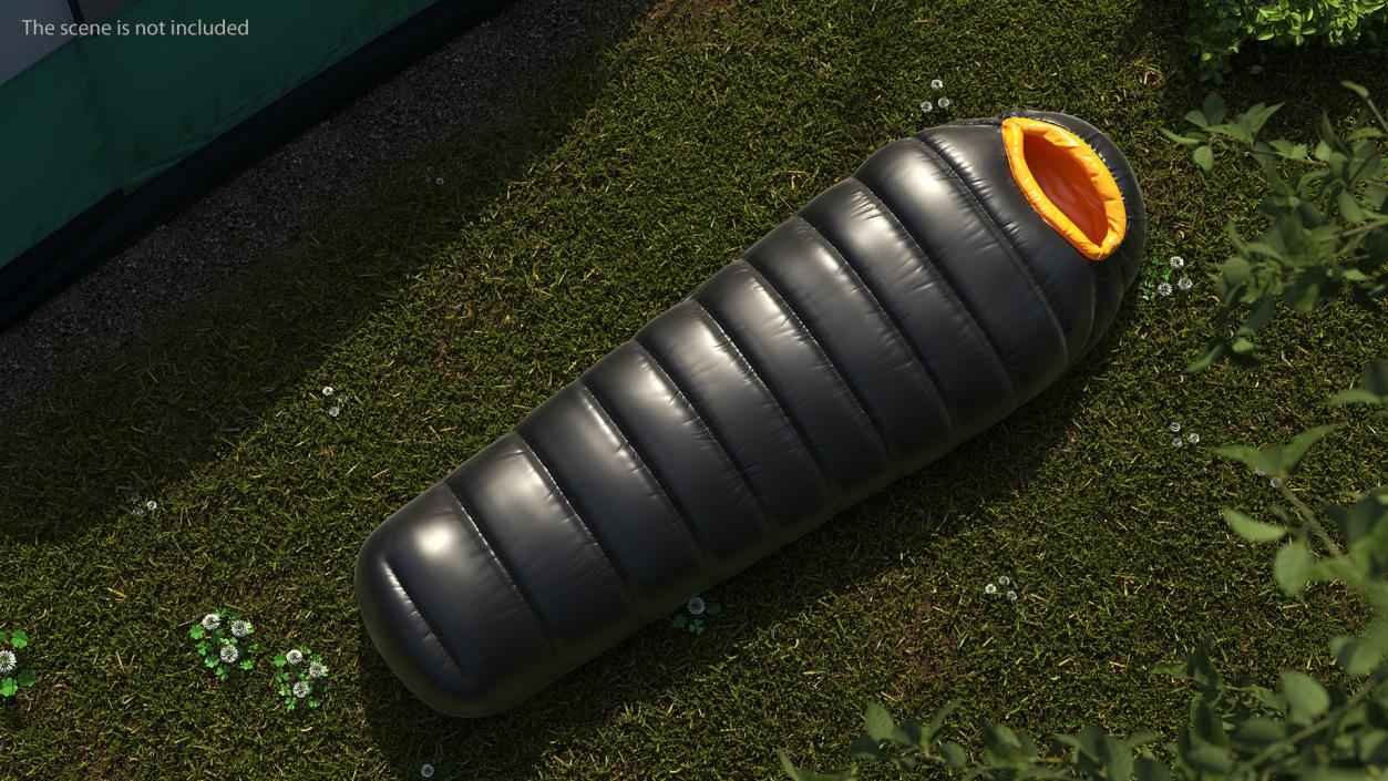 Down Sleeping Bag 3D