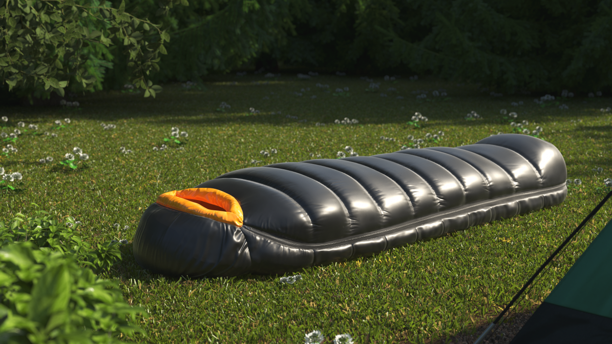 Down Sleeping Bag 3D