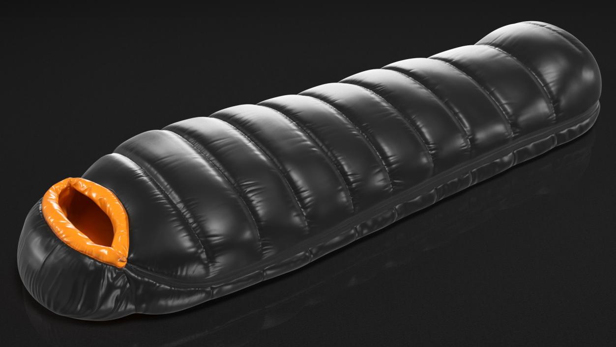 Down Sleeping Bag 3D