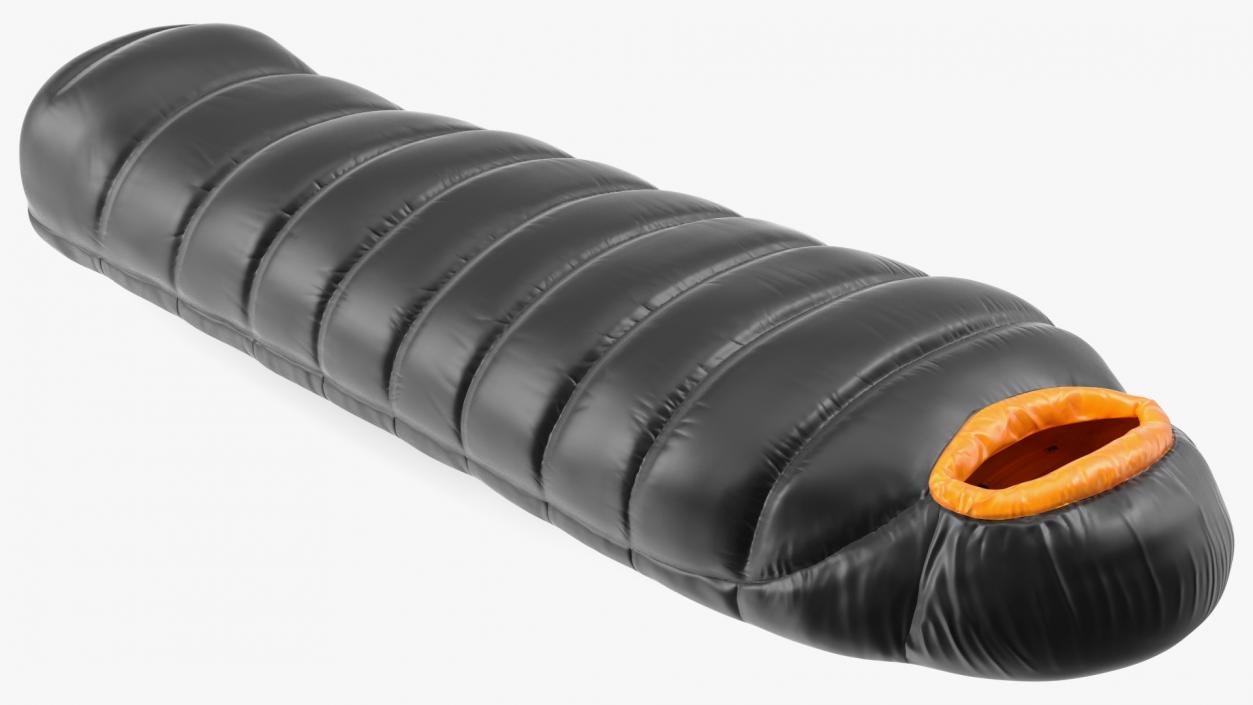 Down Sleeping Bag 3D