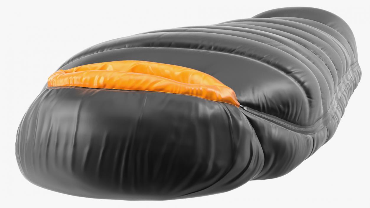 Down Sleeping Bag 3D