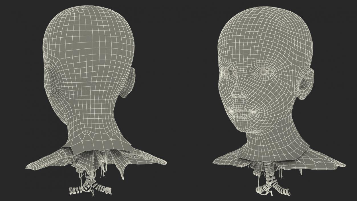 Girl Head Anatomy 3D