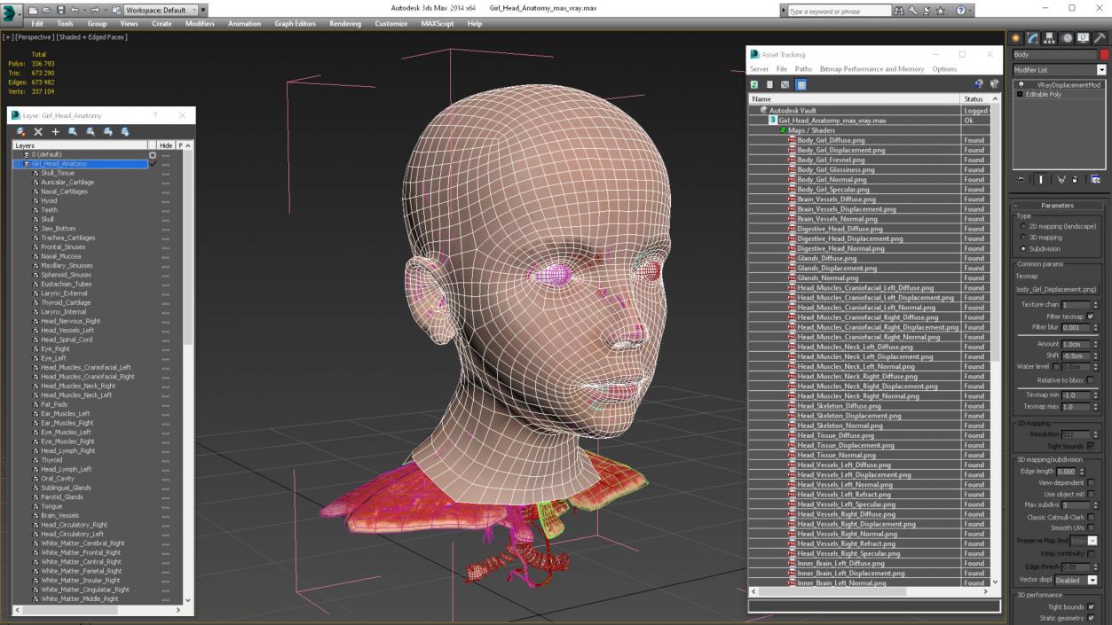 Girl Head Anatomy 3D