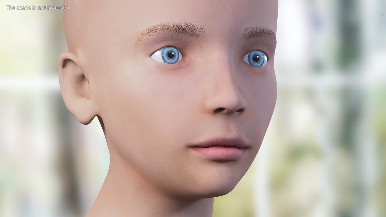 Girl Head Anatomy 3D