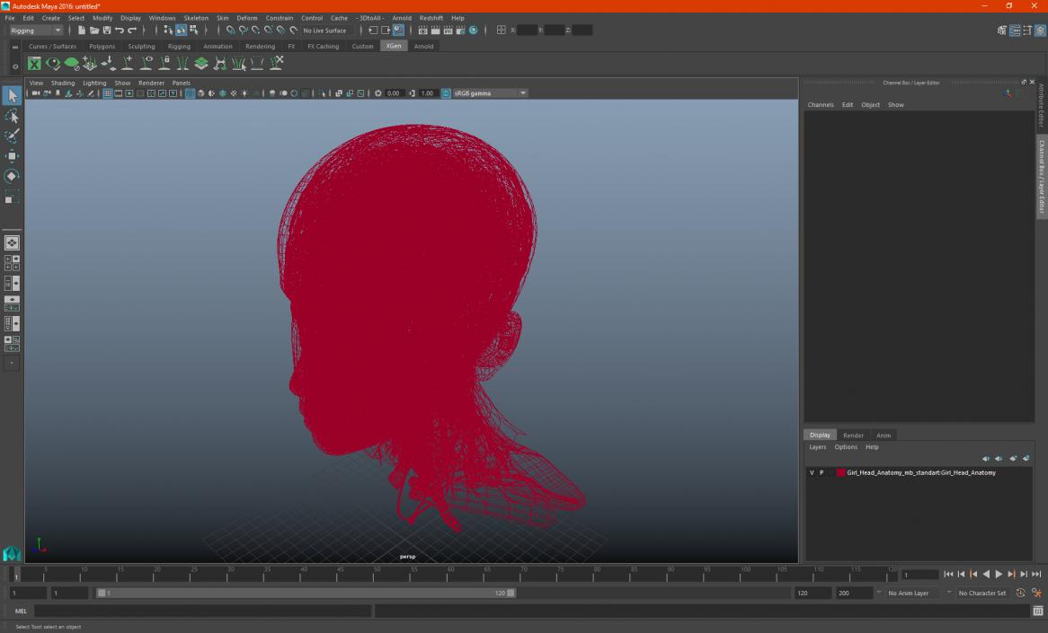 Girl Head Anatomy 3D